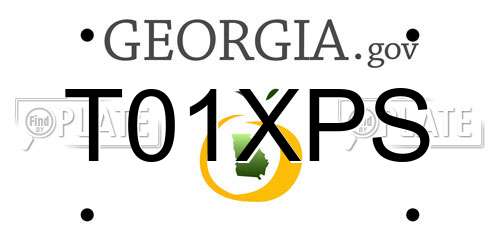 T01XPS Georgia License Plate