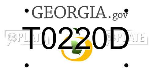 T0220D Georgia License Plate