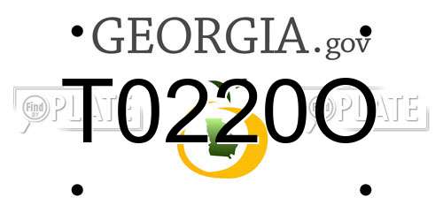 T0220O Georgia License Plate