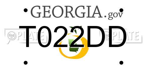 T022DD Georgia License Plate