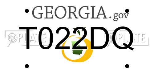 T022DQ Georgia License Plate