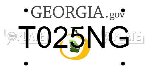 T025NG Georgia License Plate