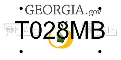 T028MB Georgia License Plate