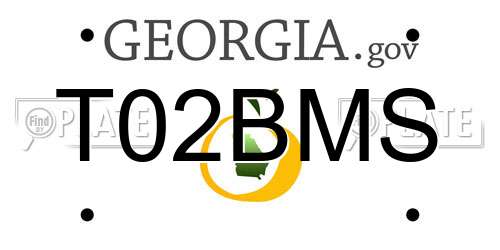 T02BMS Georgia License Plate