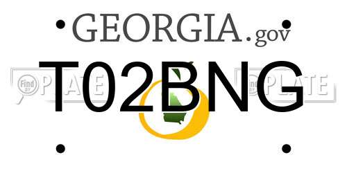T02BNG Georgia License Plate