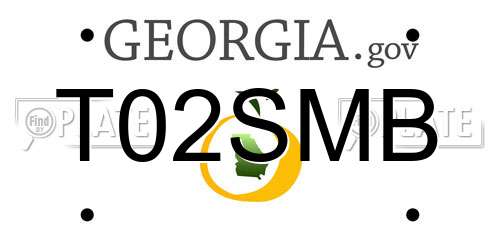T02SMB Georgia License Plate