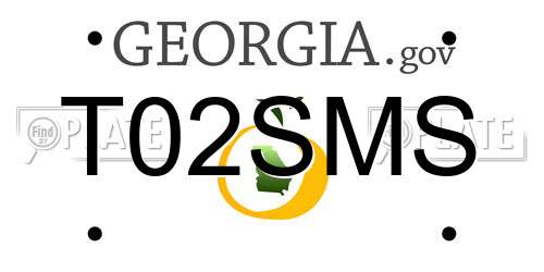 T02SMS Georgia License Plate