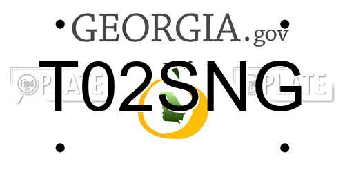 T02SNG Georgia License Plate