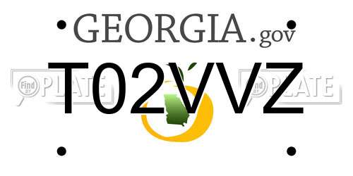 T02VVZ Georgia License Plate