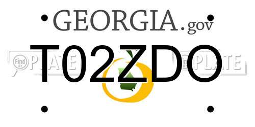 T02ZDO Georgia License Plate