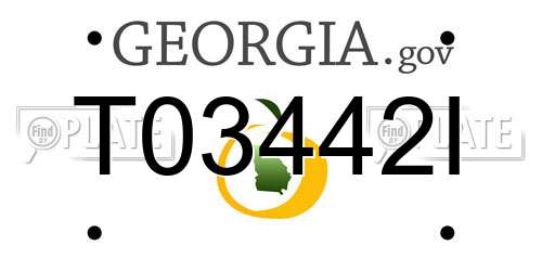 T03442I Georgia License Plate