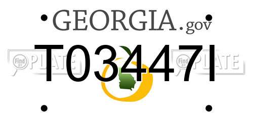 T03447I Georgia License Plate