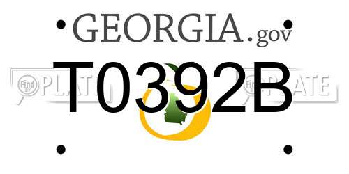 T0392B Georgia License Plate