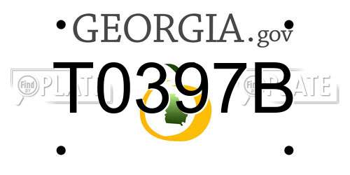 T0397B Georgia License Plate