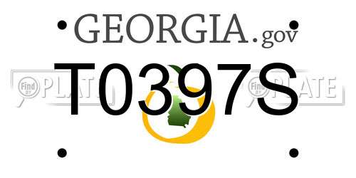 T0397S Georgia License Plate