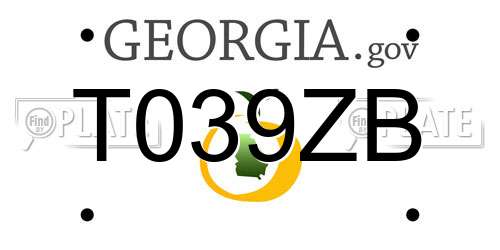 T039ZB Georgia License Plate