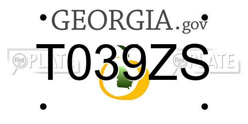 T039ZS Georgia License Plate