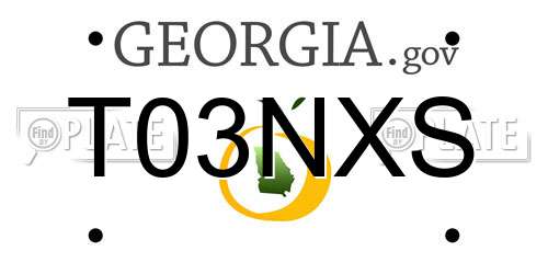 T03NXS Georgia License Plate