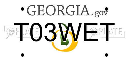 T03WET Georgia License Plate