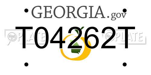 T04262T Georgia License Plate