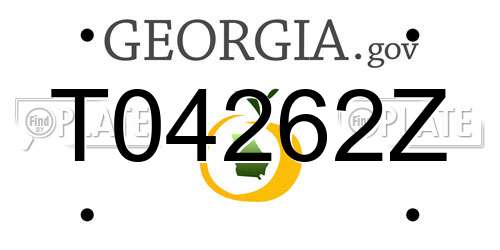 T04262Z Georgia License Plate