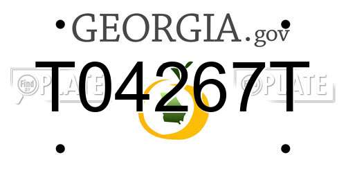 T04267T Georgia License Plate