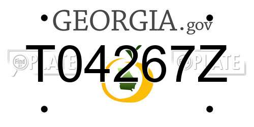 T04267Z Georgia License Plate