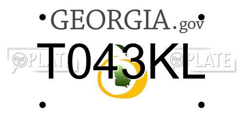 T043KL Georgia License Plate