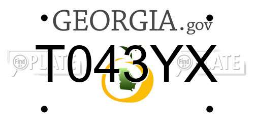 T043YX Georgia License Plate