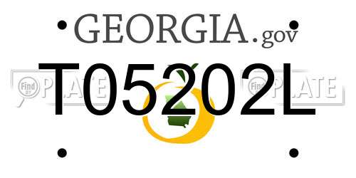T05202L Georgia License Plate