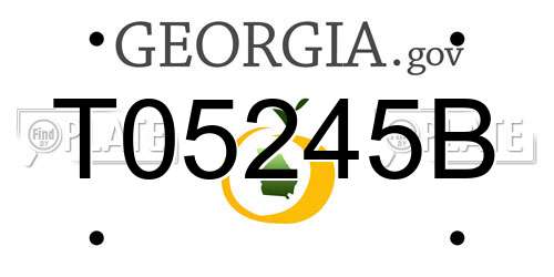 T05245B Georgia License Plate