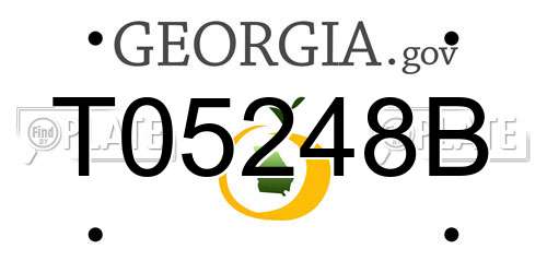 T05248B Georgia License Plate