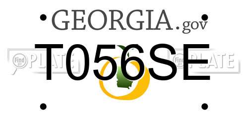 T056SE Georgia License Plate