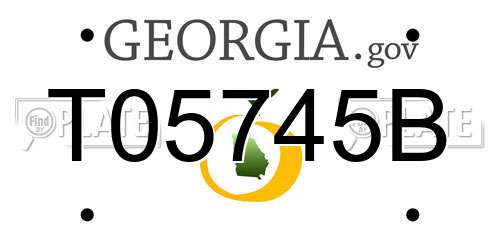 T05745B Georgia License Plate