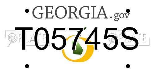 T05745S Georgia License Plate