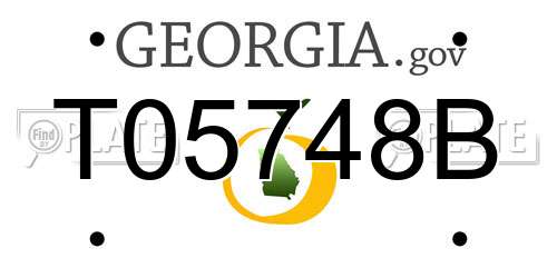 T05748B Georgia License Plate