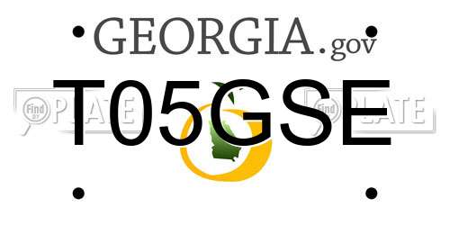 T05GSE Georgia License Plate