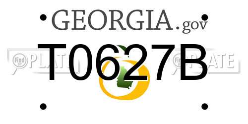 T0627B Georgia License Plate