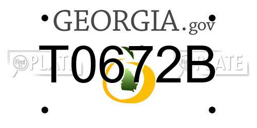 T0672B Georgia License Plate