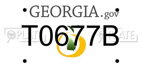 T0677B Georgia License Plate