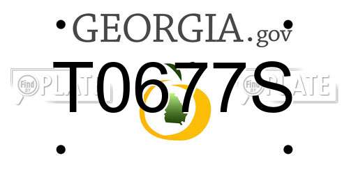 T0677S Georgia License Plate