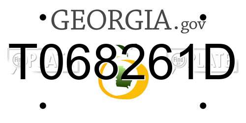 T068261D Georgia License Plate