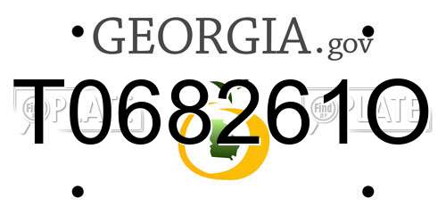 T068261O Georgia License Plate