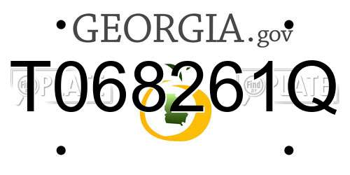 T068261Q Georgia License Plate