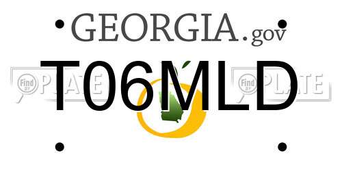 T06MLD Georgia License Plate