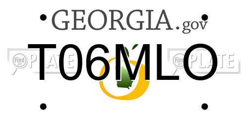 T06MLO Georgia License Plate