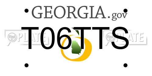 T06TTS Georgia License Plate