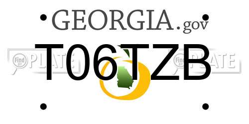T06TZB Georgia License Plate