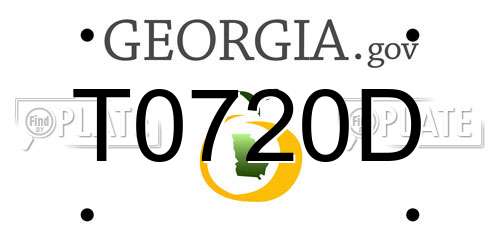 T0720D Georgia License Plate