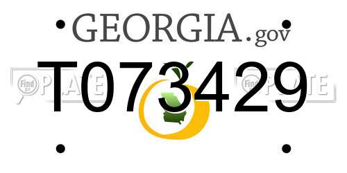 T073429 Georgia License Plate